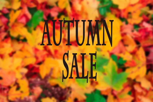 Autumn sale — Stock Photo, Image
