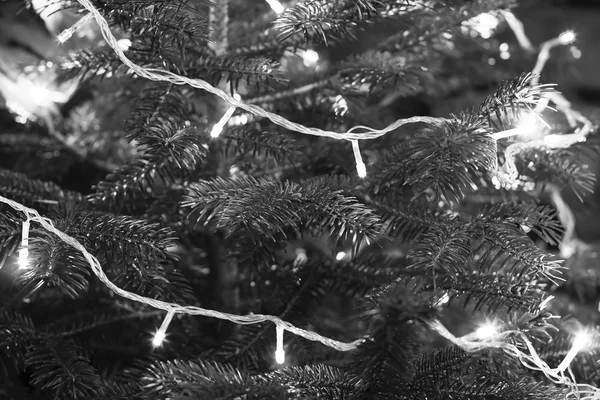 Grinalda elétrica de Natal nos ramos de uma árvore em preto e branco, foco seletivo — Fotografia de Stock