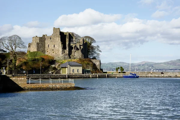 Carlingford kalede Kral John's