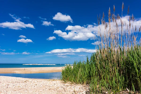 Denizle Buluşan Nehir Çevresi Abruzzo Adriyatik Denizi Akan Foro Nehri — Stok fotoğraf