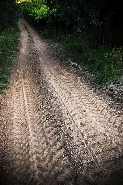 Las pistas en el camino de tierra —  Fotos de Stock