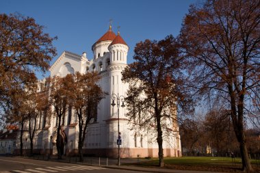 Theotokos Ortodoks katedrali