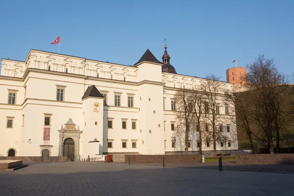 Királyi palota és a Gediminas-domb — Stock Fotó