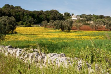Trulli kırsal kesimde