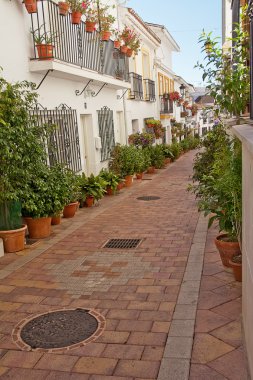 Street of Benalmadena