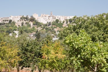 Cisternino