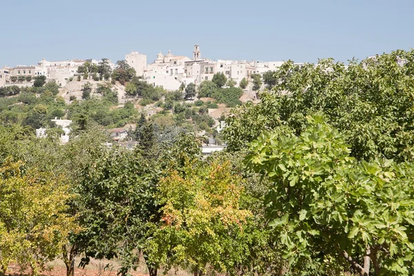 Cisternino — Stock Photo, Image