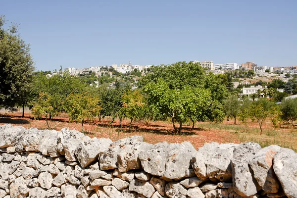 Cisternino — Stockfoto