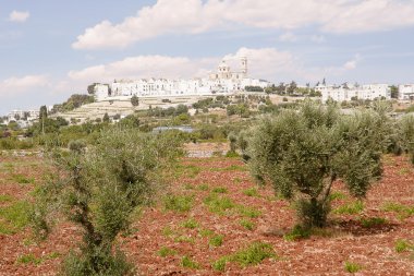 Locorotondo (İtalya)