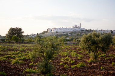 Locorotondo (İtalya)