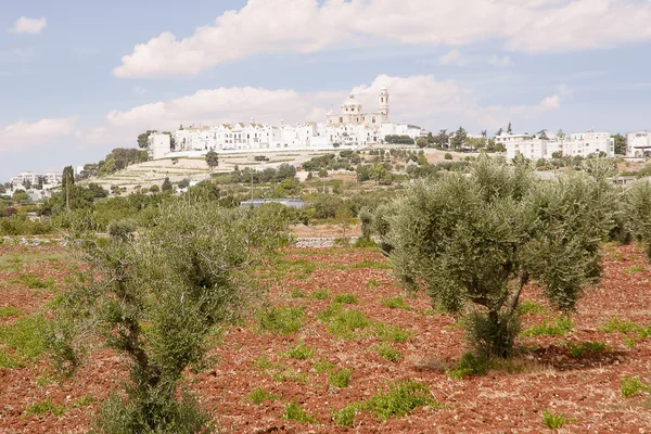 Locorotondo (İtalya)