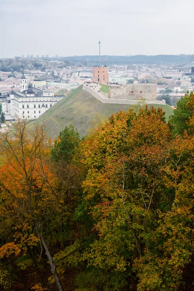 Vilnius Gediminas Kalesi — Stok fotoğraf