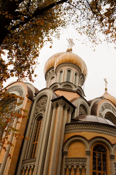 빌니우스에서 로마노프의 교회 — 스톡 사진