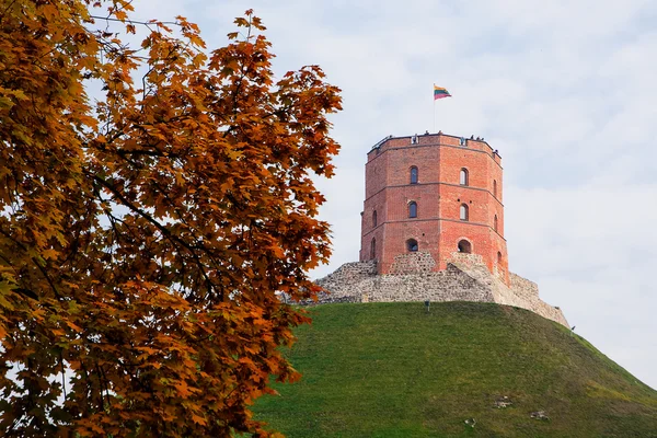 Zamek Giedymina w Wilnie — Zdjęcie stockowe