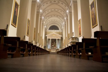 İç katedral Vilnius (Litvanya)