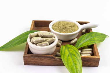 Andrographis panikleme kapsülleri, panikleme tozu ve beyaz arka planda izole edilmiş tahta bir fincan tabağında yapraklar. Paniklemek öksürüğü azaltır, mukusu azaltır ve burnu dezenfekte eder..