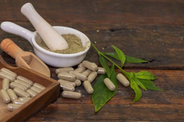 Andrographis Paniculata özü beyaz bardakta toz ve ahşap arka planda panikleme bitki kapsülleri..