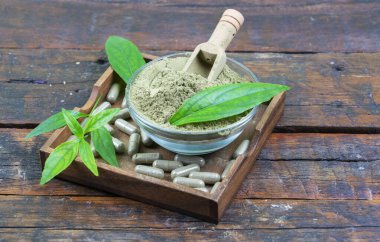 Andrographis Paniculata özü toz ve cam kasede yapraklar ahşap arka planda ahşap fincan kapsüllerinde bitki kapsülleri.