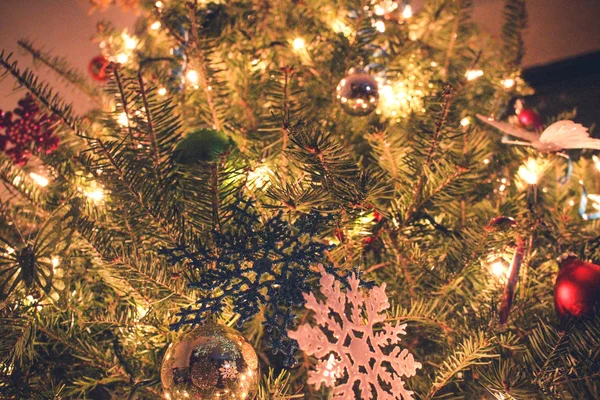 Árbol de Navidad — Foto de Stock