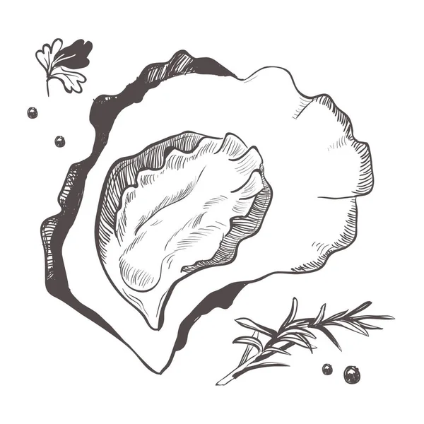 Mollusc Spices Spices Black White Illustration Oyster Isolated White Background Vector Graphics
