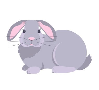 Beyaz arka planda izole edilmiş çekici gri tavşan. Çıkartmalar ve tişörtler üzerine baskı yapmak için tasarımcı tavşan grafikleri.
