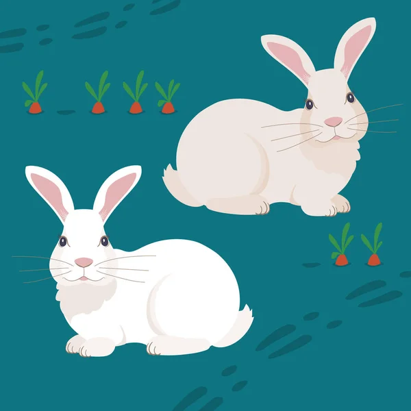 ニンジンのベッドの上の2匹のウサギのベクトルグラフィック 海の色を背景に白と灰色のウサギのイラスト — ストックベクタ