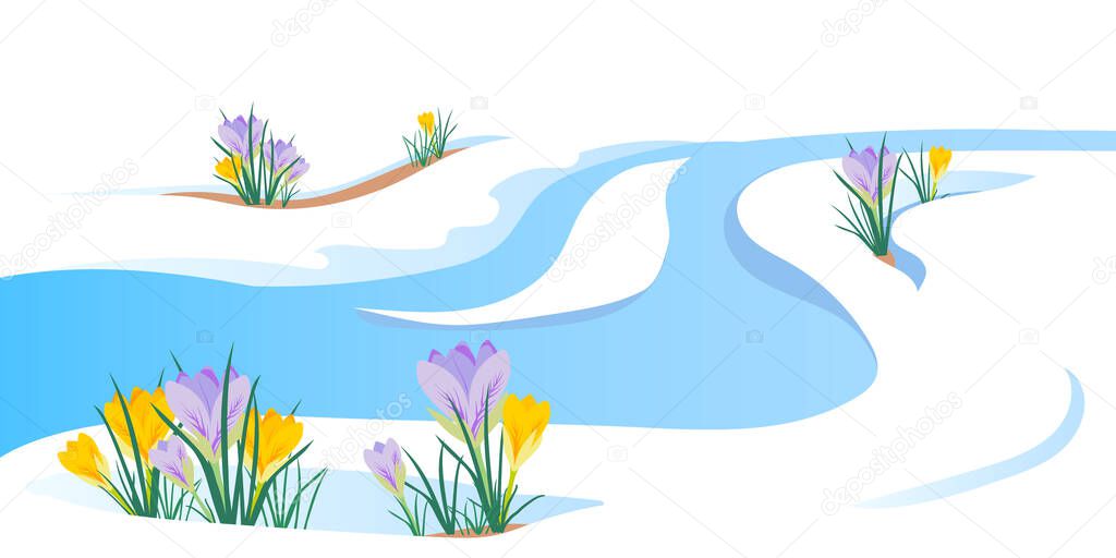 The concept of the arrival of spring and the awakening of nature after winter. Melting snow, streams and snowmelt, primroses, crocuses and spring flowers. Vector illustration. End of the cold season.