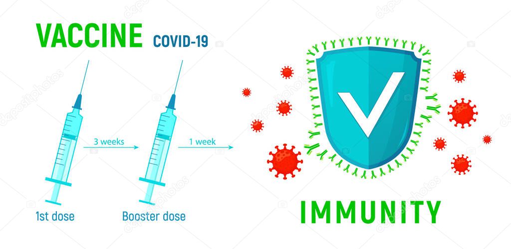 The concept of the need and rules of vaccination against coronavirus. The shield is surrounded by antibodies that attack the coronavirus cells. Vector illustration. Syringes with medicines.