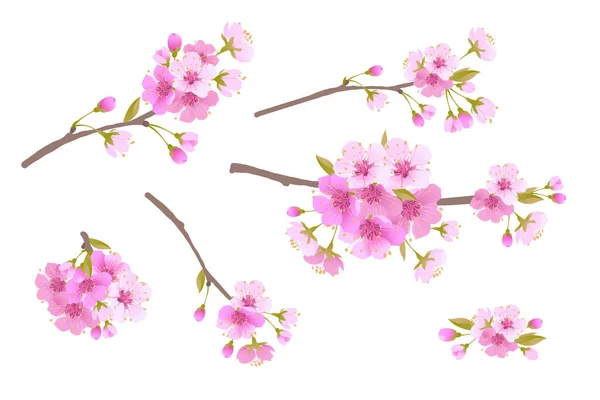 Bunga Sakura Pinkストックベクター ロイヤリティフリーbunga Sakura Pinkイラスト ページ 10 Depositphotos Bunga Sakura Pinkストックベクター ロイヤリティフリーbunga Sakura Pinkイラスト ページ 10 Depositphotos