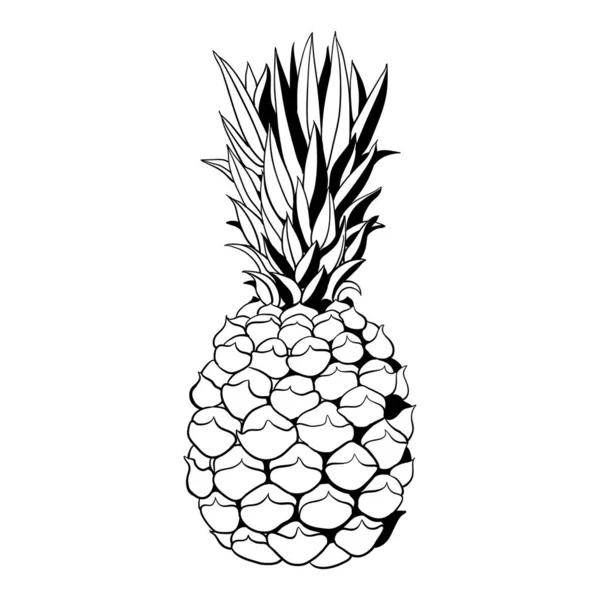 Dibujo Estilo Boceto Una Piña Madura Sobre Fondo Blanco Ilustración — Archivo Imágenes Vectoriales