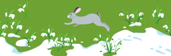 春の到来と冬の後の自然の目覚めの概念 緑の芝生の上を走るウサギを溶かす ベクトルイラスト 雪の中で花が芽吹く — ストックベクタ