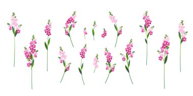 Büyük bir klasik elementler seti. Çiçek açan 