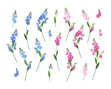 Beyaz bir arka planda mavi ve pembe 