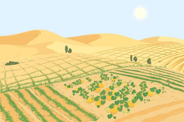 Conceito Introdução Tecnologias Agrícolas Para Combater Problema Global Desertificação Terra — Vetor de Stock