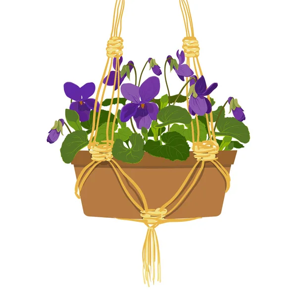 Fragrant Violet Clay Hanging Pot White Background Purple Flowers Buds — Stock Vector