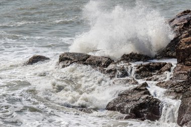 Meizhou Island, Fujian, Çin toplayan
