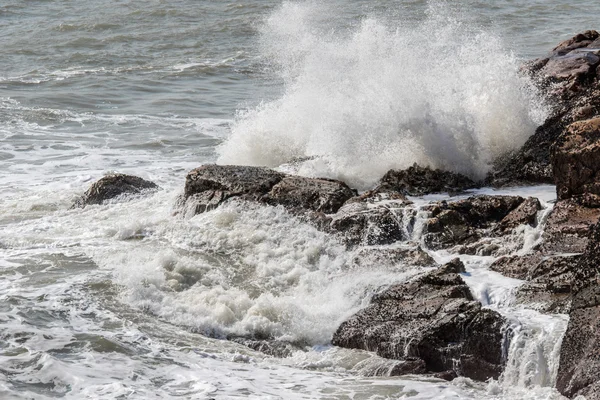 Meizhou Island, Fujian, Çin toplayan