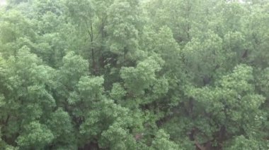 Bir yaz avlu fırtınada