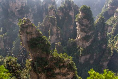 Muhteşem manzara, Zhangjiajie Çin