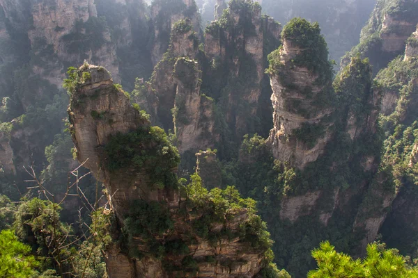 Prachtige landschap, Zhangjiajie China — Stockfoto