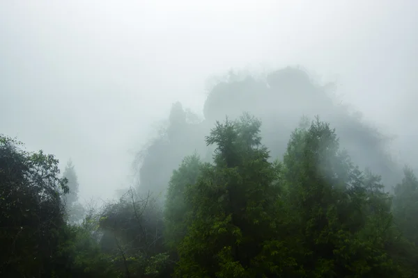 Enshi Grand Canyonu horské krajiny — Stock fotografie