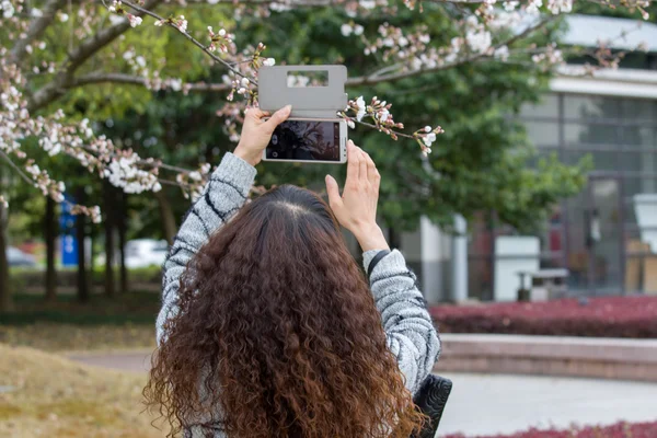 Mart ayında çiçek açması sakura