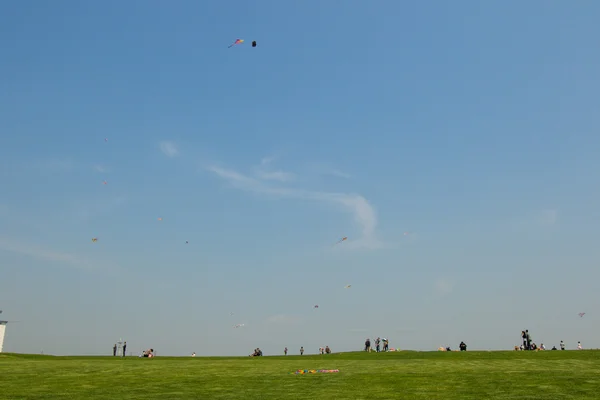 Flying  kites on the lawn — Stock Photo, Image