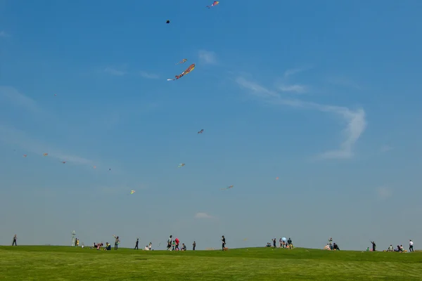 Drachen fliegen auf dem Rasen — Stockfoto