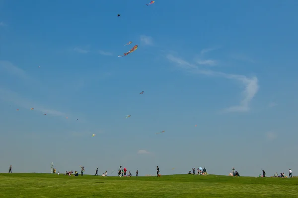 Létající draci na trávníku Royalty Free Stock Obrázky