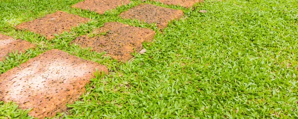 O bloco de pedra caminho de caminhada no parque com fundo de grama verde — Fotografia de Stock