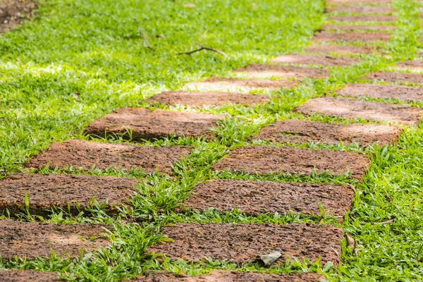 Stenen blockera promenad väg i parken med grönt gräs bak — Stockfoto