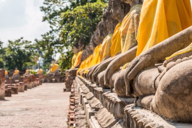 Buda'nın durumu wat yai chaimongkol, ayutthaya, Tayland at