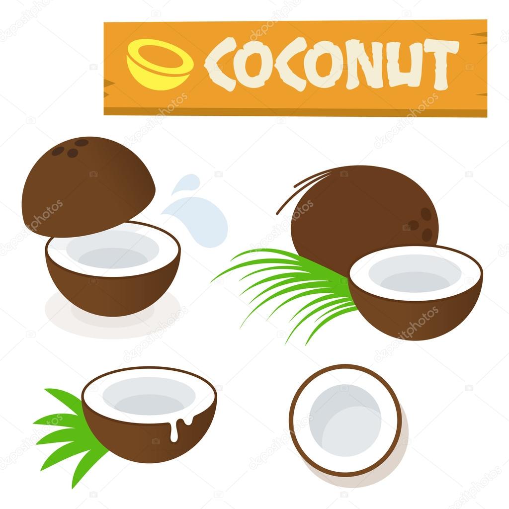 Coconut vector flat simple minimal icon illustration isolated on white