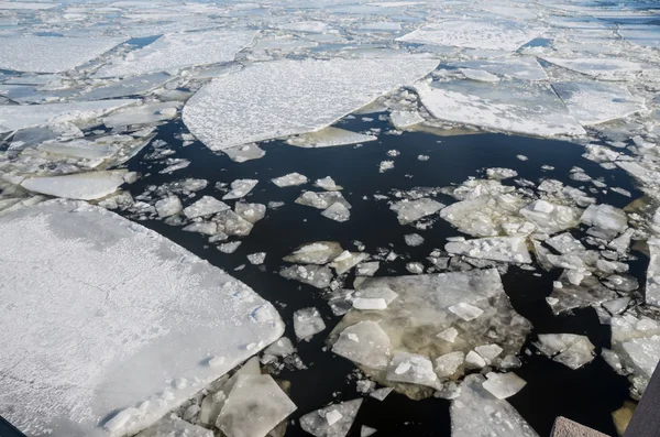 Floating of ice — Stock Photo, Image